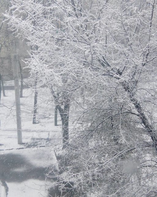 <p>Харків засипало снігом. Фото: соцмережі</p>