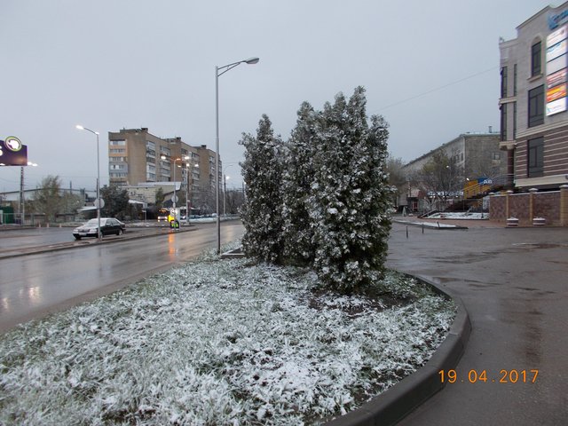 <p>У Криму випав сніг. Фото: соцмережі</p>