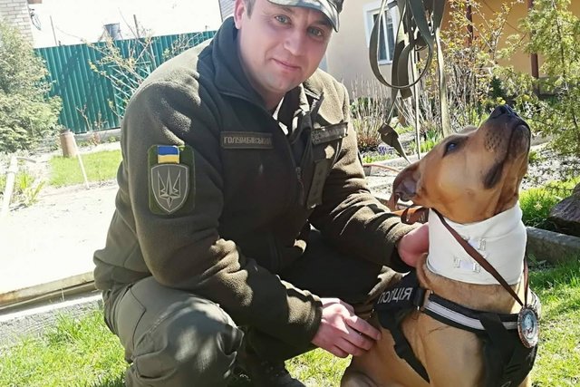 Псу вручили медаль и косточку, а его хозяин идет на поправку. Фото: Нацгвардия Украины