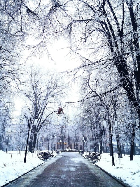 Снег засыпал Прикарпатье. Фото: vk.com, facebook.com