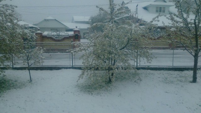 Снег засыпал Прикарпатье. Фото: vk.com, facebook.com