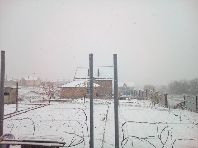 В Крыму идет снег. Фото: соцсети