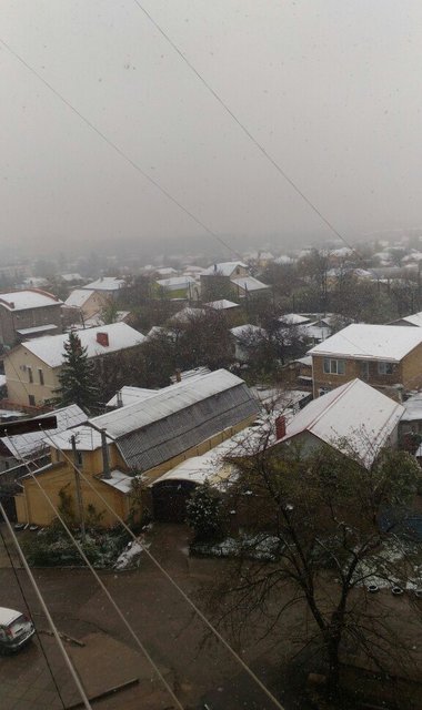 В Крыму идет снег. Фото: соцсети