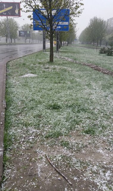 Снег  во Львове. Фото: Т. Самотый