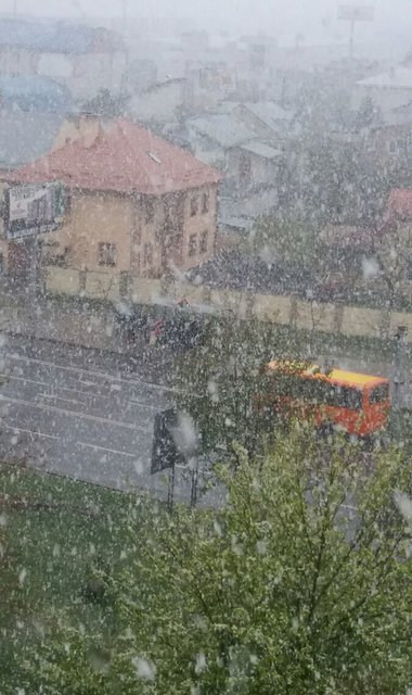 <p>Сніг висипав у Львові. Фото: Т. Самотий</p>