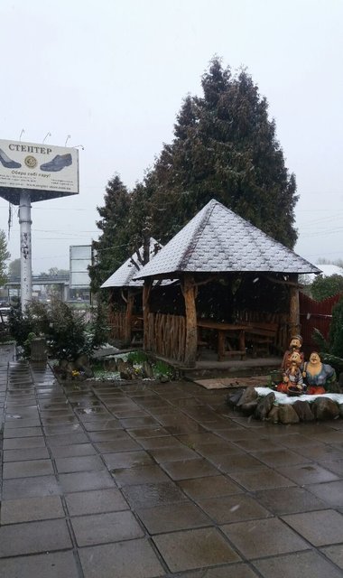 Снег  во Львове. Фото: Т. Самотый
