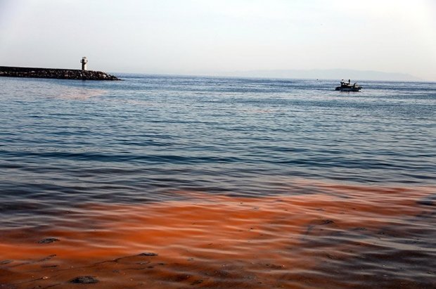 Мраморное море изменило цвет вдоль береговой линии. Фото: dailysabah.com