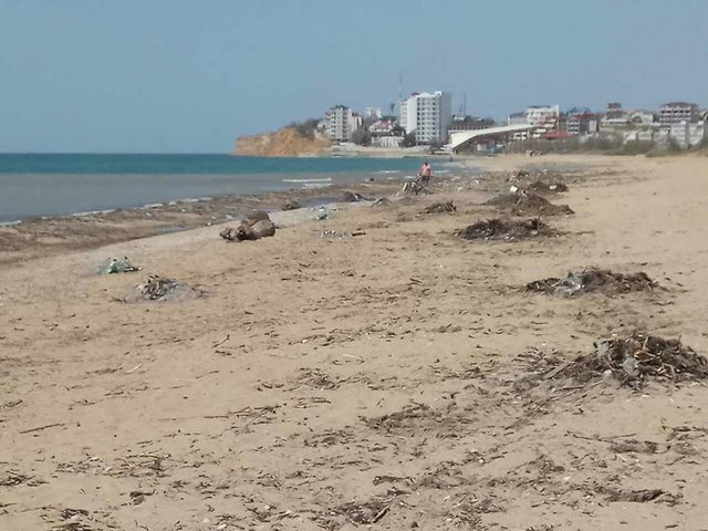 Пляж под Севастополем утопает в мусоре. Фото: О. Крючков