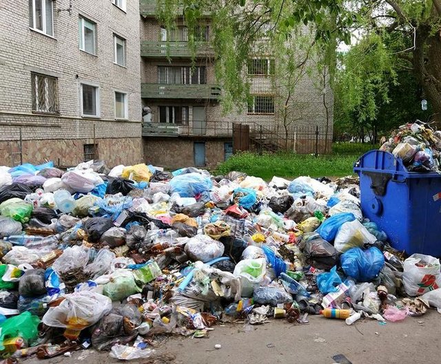 <p>Як виявилося, в "сміттєвому" питанні Львів підтримують тільки іноземці. Фото: соцмережі</p>