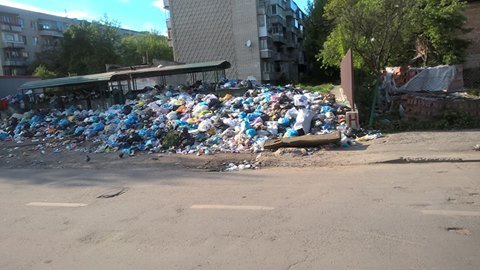 Как оказалось, в "мусорном" вопросе Львов поддерживают только иностранцы. Фото: соцсети