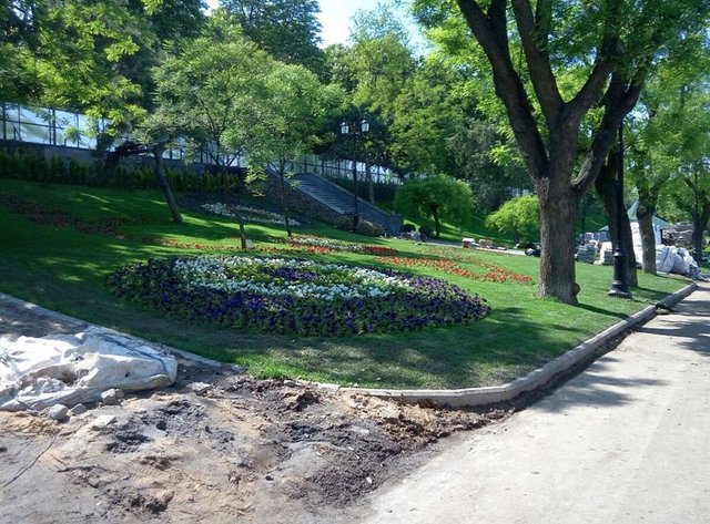 В парке посадили новые деревья и цветы. Фото: соцсети / Сергій Лещинський