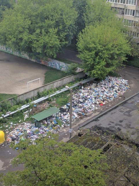 Пока чиновники ищут, на кого переложить вину, город утопает в мусоре. Фото: соцсети