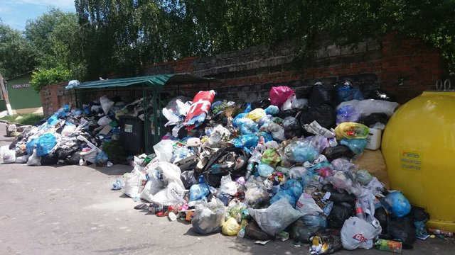 Мусор во Львове не убирают по несколько недель. Фото: Т.Самотый