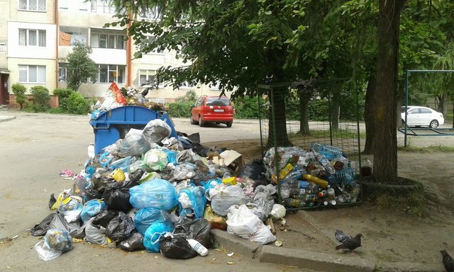 Неубранный мусор во Львове по колличеству  побил "все рекорды". Фото: Т.Самотый