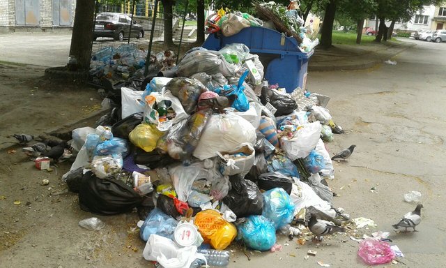 <p>Неприбране сміття у Львові за кількістю побило "всі рекорди". Фото: Т.Самотий</p>