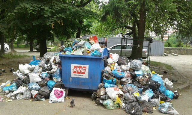 Неубранный мусор во Львове по колличеству  побил "все рекорды". Фото: Т.Самотый