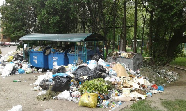 <p>Неприбране сміття у Львові за кількістю побило "всі рекорди". Фото: Т.Самотий</p>