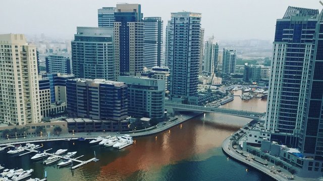 Вода оранжевого цвета заполнила район Дубай Марина, фото соцсети