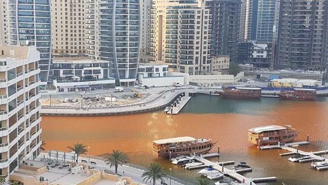 <p>Вода оранжевого кольору заповнила район Дубай Марина, фото соцмережі</p>