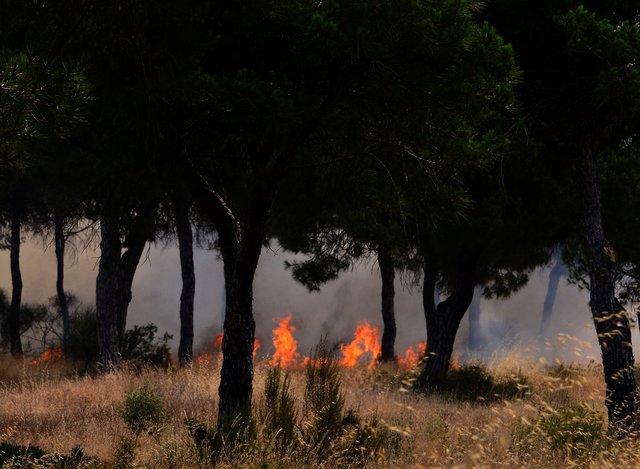 В Испании эвакуированы тысячи человек из-за пожара, фото AFP
