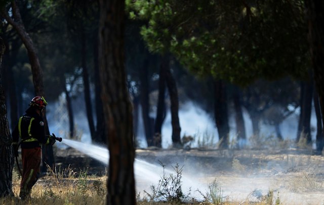 <p>В Іспанії евакуйовані тисячі людей через пожежу, фото AFP</p>