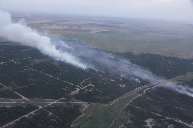 В Херсонской области горит лес. Фото: ГСЧС