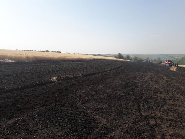В Николаевской области горела пшеница. Фото: ГСЧС