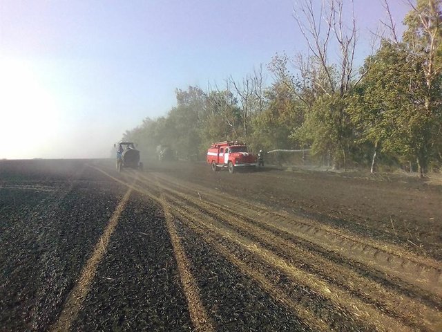 В Николаевской области горела пшеница. Фото: ГСЧС