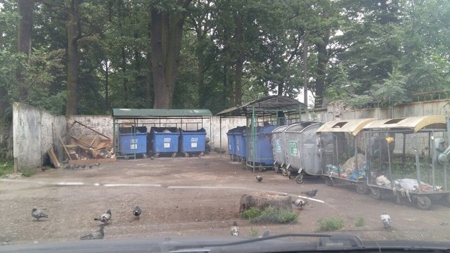 Львов очищают от мусора. Фото: ОГА