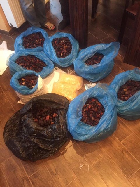 У львовянина правоохранители изъяли 100 килограммов янтаря, фото Л.Сарган/Facebook