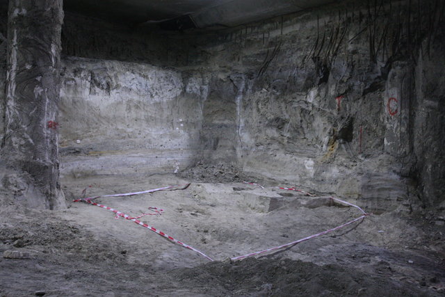 На месте уникальных раскопок хотят сделать подземный музей | Фото: Анатолий Бойко