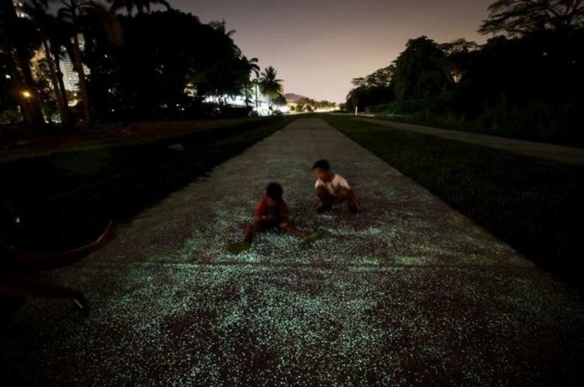 <p>Стежка, що світиться, в Сінгапурі. Фото: Mashable, Straitstimes</p>