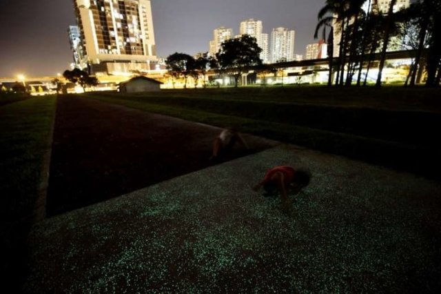 <p>Стежка, що світиться, в Сінгапурі. Фото: Mashable, Straitstimes</p>