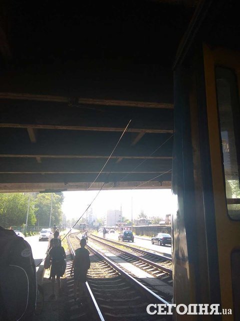 Трамваи остановились из-за обрыва линии. Фото: Ольга Мулько, Владимир Крекотин