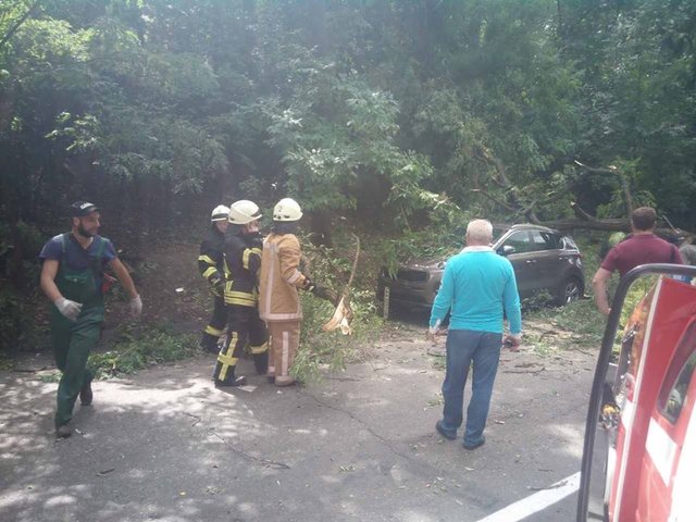 <p>Дерево впало на припаркований автомобіль. Фото: ДСНС в Києві</p>