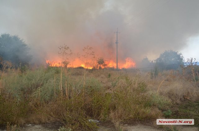 <p>Пожежа охопила територію в кілька десятків гектарів. Фото: novosti-n.org</p>