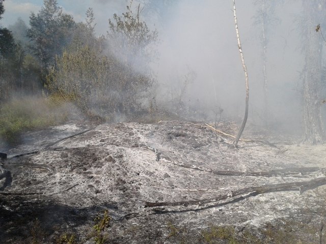 Возгорание мусора становится причиной пожаров на свалках, торфяниках и в лесных массивах. Фото: kyivobl.dsns.gov.ua