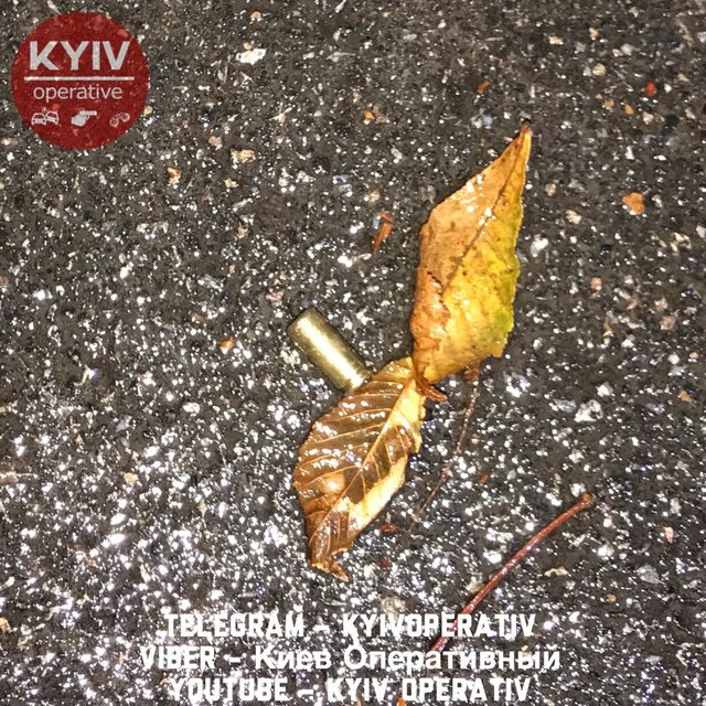 В парке произошел конфликт со стрельбой. Фото: facebook.com/KyivOperativ