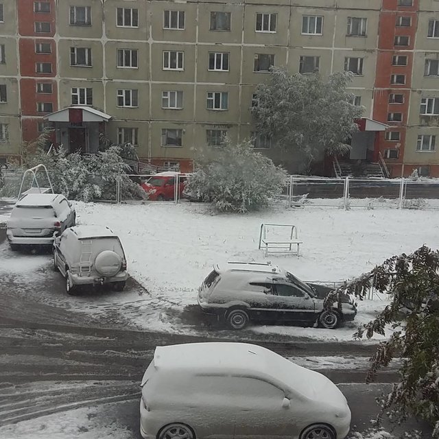В России уже зима. Фото: Instagram