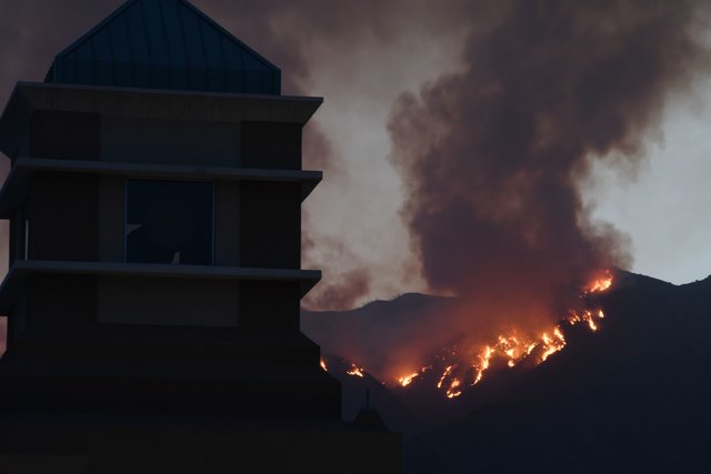 В Калифорнии пылают лесные пожары. Фото: AFP