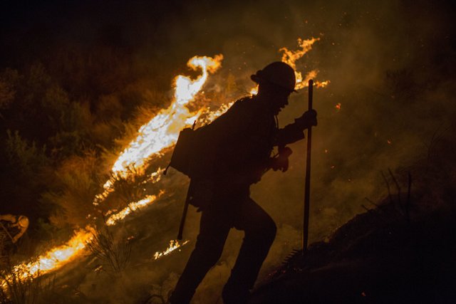 <p>У Каліфорнії палають лісові пожежі. Фото: AFP</p>