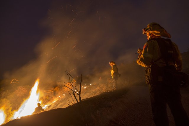 <p>У Каліфорнії палають лісові пожежі. Фото: AFP</p>
