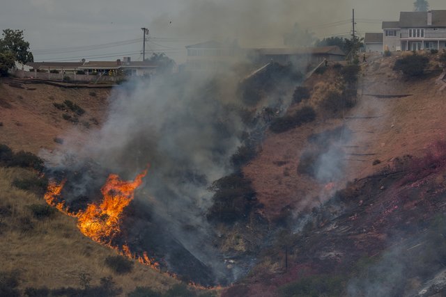 В Калифорнии пылают лесные пожары. Фото: AFP