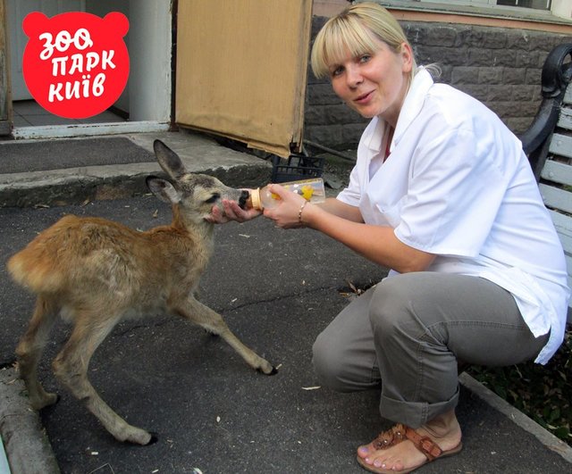 <p>Ветеринари Київського зоопарку</p>
