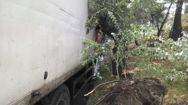 <p>Вантажівка влетіла в дерево. Фото: Роман</p>