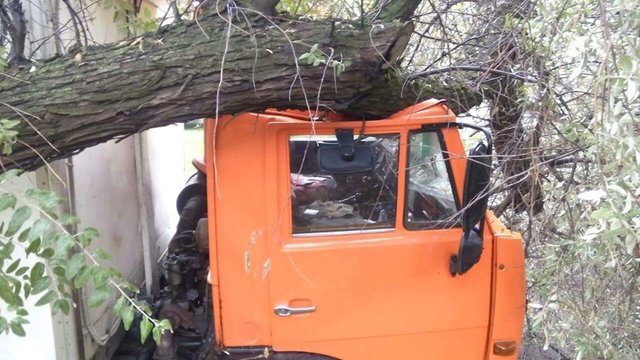 <p>Вантажівка влетіла в дерево. Фото: Роман</p>