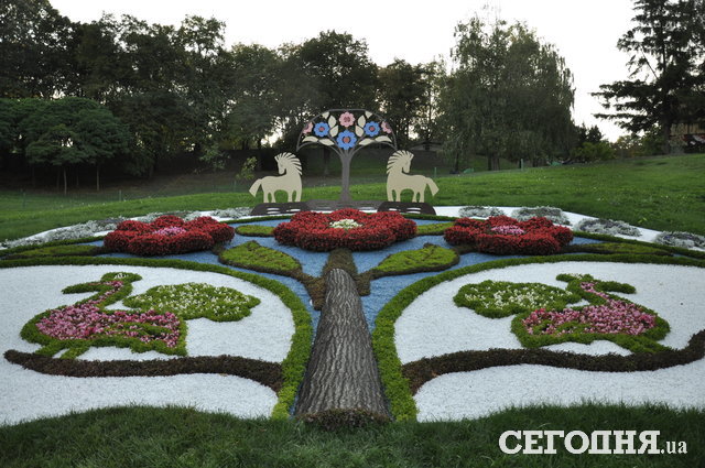 Выставка цветов на Певческом поле: удивительные клумбы с украинским колоритом. Фото: Мила Князьская-Ханова, "Сегодня"