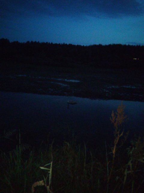 <p>Лебедя врятували з напіввисохлого озера. Фото: facebook.com/KARG.kyivanimalrescuegroup</p>