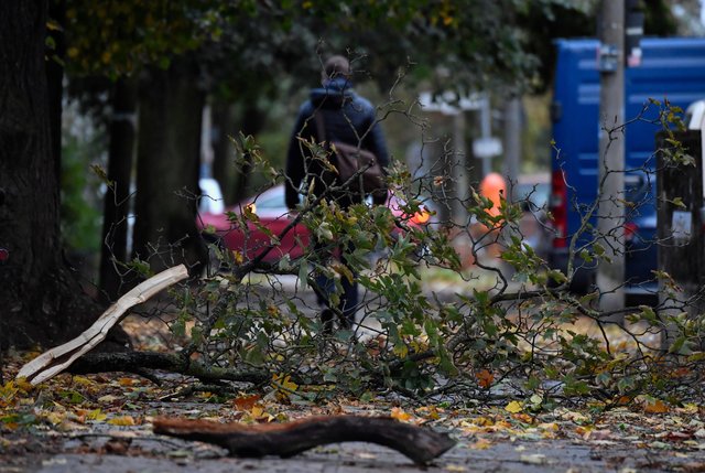 В Германии ураган "Ксавьер" унес жизни как минимум семи человек, фото AFP