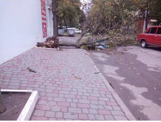 Непогода во Львовской области. Фото: Facebook.com